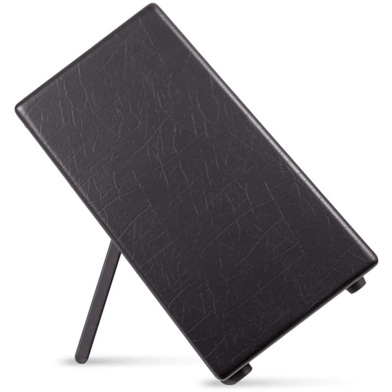 Blackstar Artist FR Special