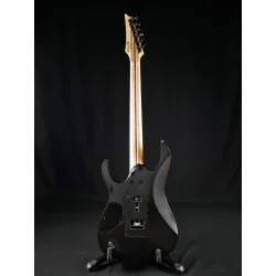 Ibanez Premium RG1120PBZ