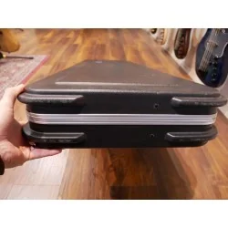 Etui Music Man Stingray