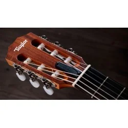 Taylor Academy 12e-N