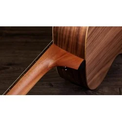 Taylor Academy 12e-N