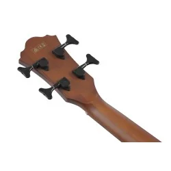 Ibanez AEGB30E-NTG