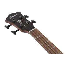 Ibanez AEGB30E-NTG