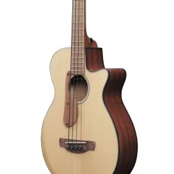 Ibanez AEGB30E-NTG