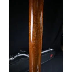 Gibson SG Special Walnut 1973