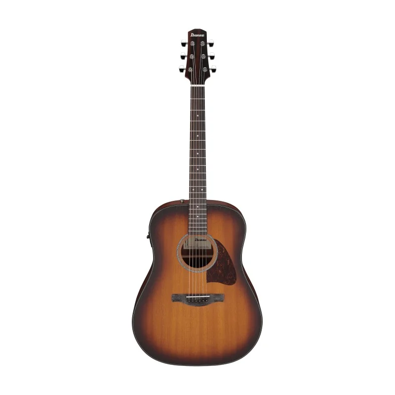 Ibanez AAD54E-OMH