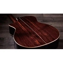 Taylor Guitars 814ce Next Generation
