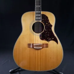 Yamaha FG-300 - Occasion