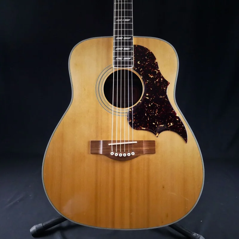 Yamaha FG-300 - Occasion