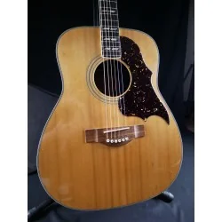 Yamaha FG-300 - Occasion