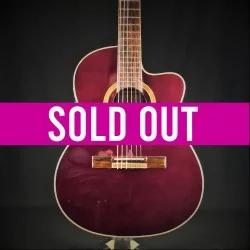 Ortega RCE138 - Occasion