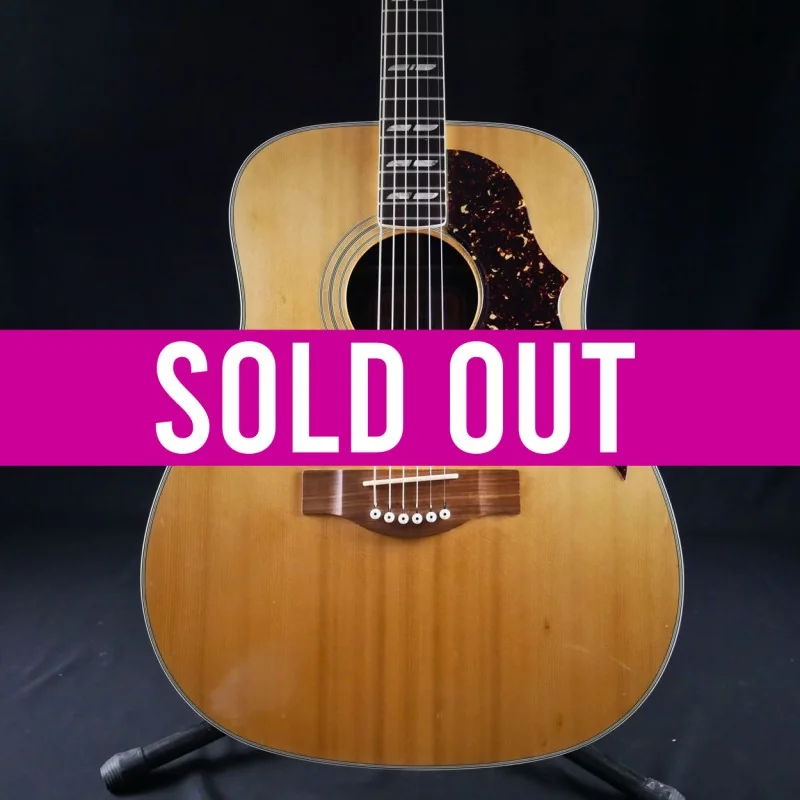 Yamaha FG-300 - Occasion