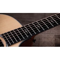 Taylor Next Generation 314ce