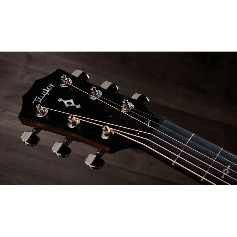 Taylor Next Generation 314ce