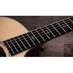 Taylor 414ce Next Generation