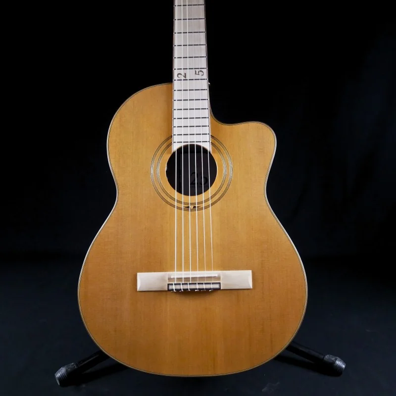 Ortega RCE179SN 25TH - Occasion