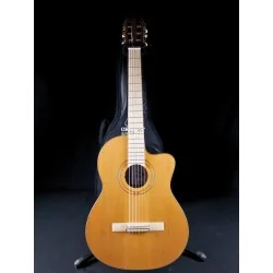 Ortega RCE179SN 25TH - Occasion