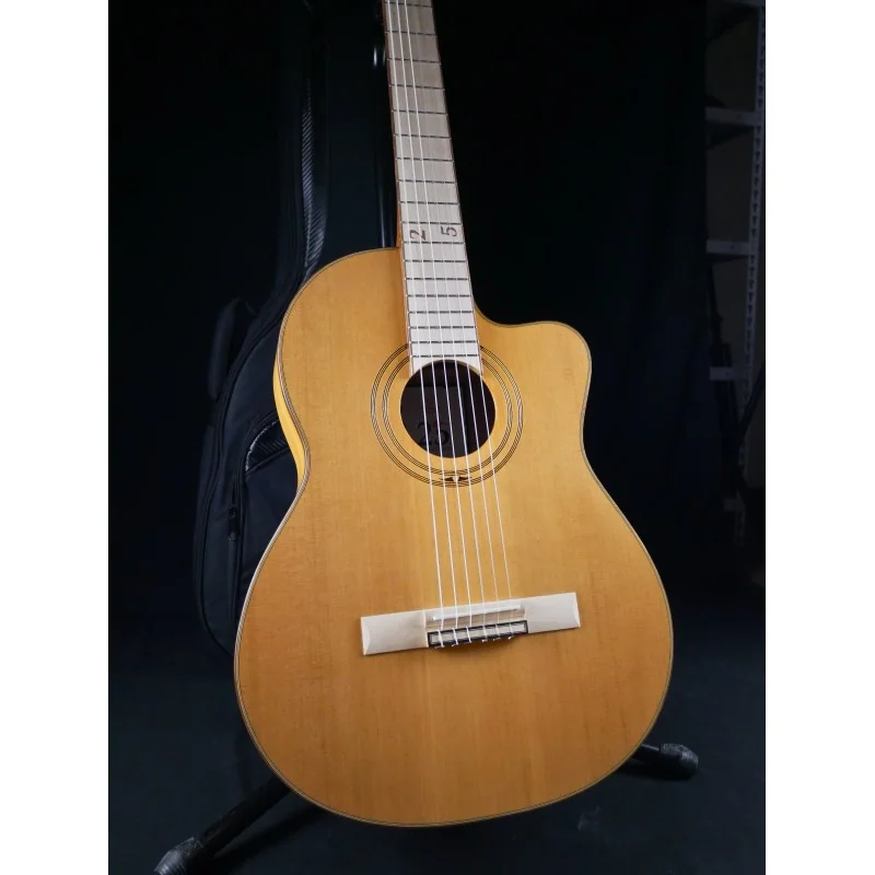 Ortega RCE179SN 25TH - Occasion