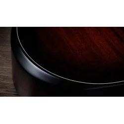 Taylor Builder’s Edition 324ce Next Generation Taylor Builder’s Edition 324ce Next Generation
