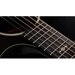 Taylor Builder’s Edition 324ce Next Generation Taylor Builder’s Edition 324ce Next Generation