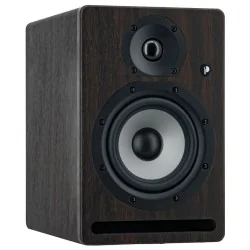 Prodipe Pro 5 V4 Rosewood Prodipe Pro 5 V4 Rosewood