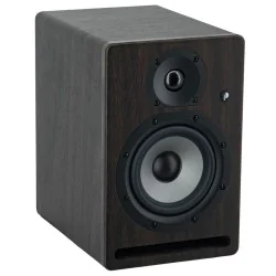 Prodipe Pro 5 V4 Rosewood Prodipe Pro 5 V4 Rosewood