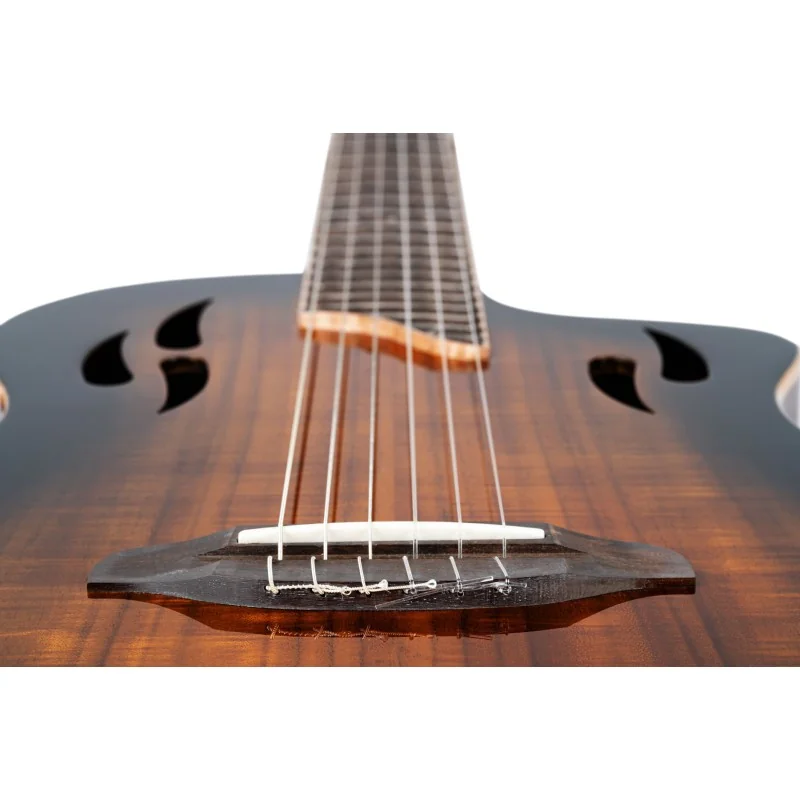 Ortega TourPlayer Deluxe NY ACAC
