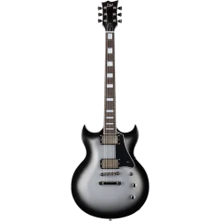 LTD Bill Kelliher Signature Royal Shiva Silver Sunburst LTD Bill Kelliher Signature Royal Shiva Silver Sunburst