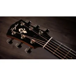 Taylor Gold Label 717e SB Taylor Gold Label 717e SB