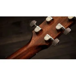 Taylor Gold Label 717e SB Taylor Gold Label 717e SB