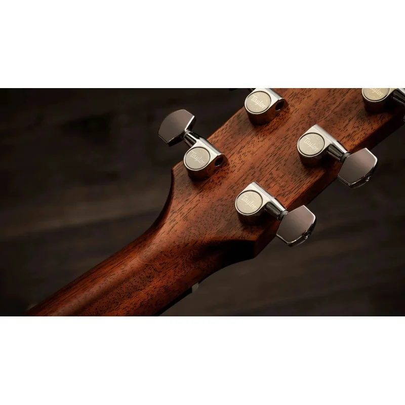 Taylor Gold Label 717e SB
