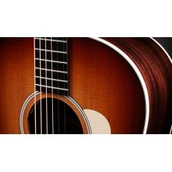 Taylor Gold Label 717e SB Taylor Gold Label 717e SB