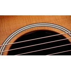 Taylor Gold Label 717e SB Taylor Gold Label 717e SB