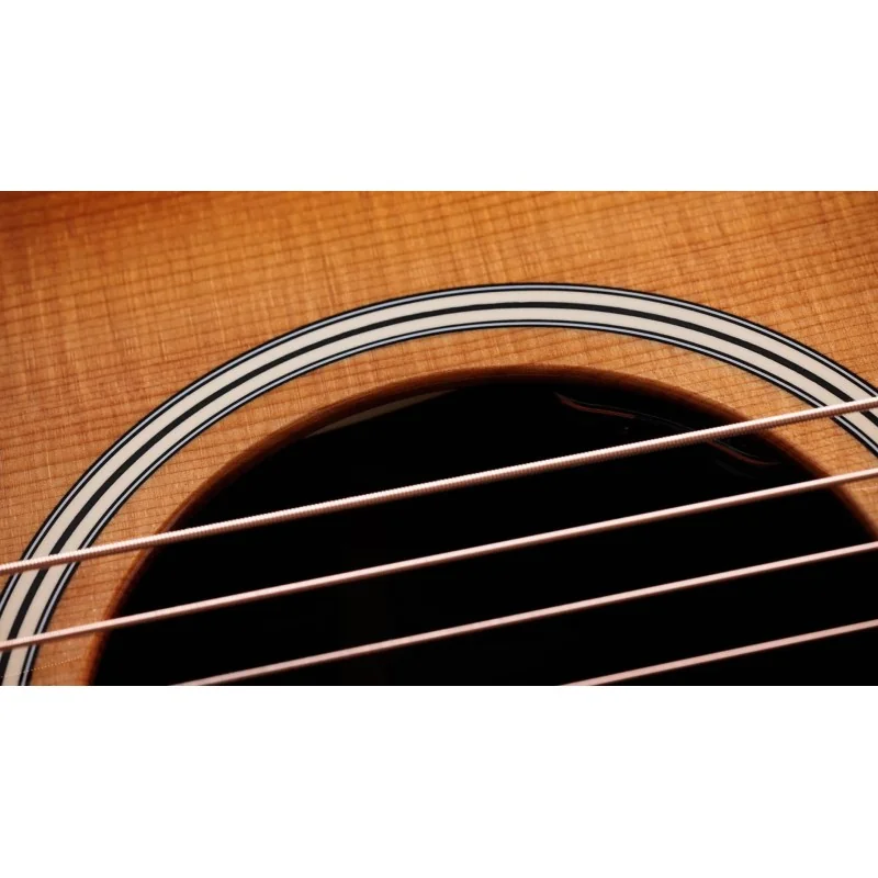Taylor Gold Label 717e SB