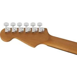 Charvel Pro-Mod Plus Dinky DK24 HSS 2PT QM Amber Tiger Eye