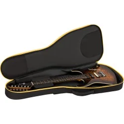 Charvel Pro-Mod Plus Dinky DK24 HSS 2PT QM Amber Tiger Eye