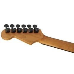 Charvel Pro-Mod Plus Dinky DK24 HH HT EB Black Ash Charvel Pro-Mod Plus Dinky DK24 HH HT EB Black Ash