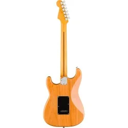 Fender American Professional Stratocaster Natural Fender American Professional Stratocaster Natural