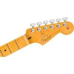 Fender American Professional Stratocaster Dark Night Fender American Professional Stratocaster Dark Night