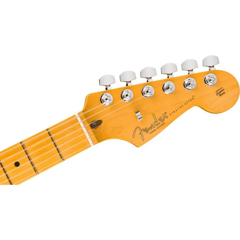 Fender American Professional Stratocaster Dark Night