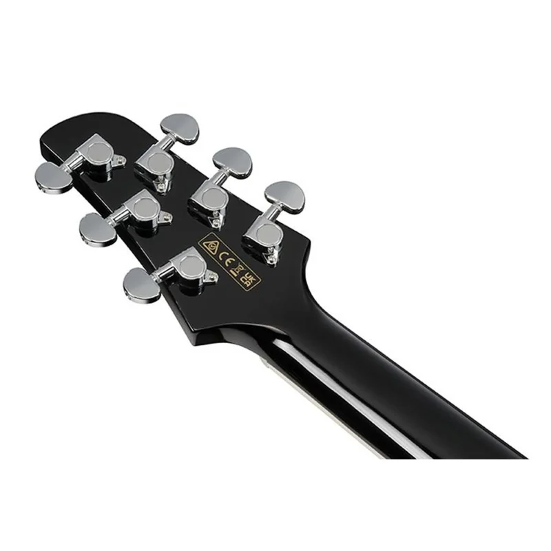 Ibanez TCY10PA-BKB