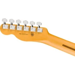 Fender American Professional Telecaster, Rosewood Fingerboard, Black dos de tête Fender American Professional Telecaster, Rosewood Fingerboard, Black dos de tête