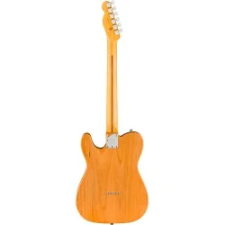 Fender American Professional Telecaster, Rosewood Fingerboard, Natural Dos Fender American Professional Telecaster, Rosewood Fingerboard, Natural Dos