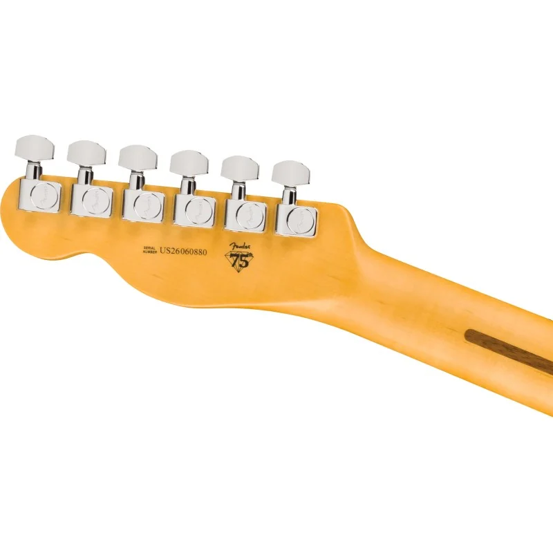 American Professional Telecaster, Maple Fingerboard, Black dos de tête