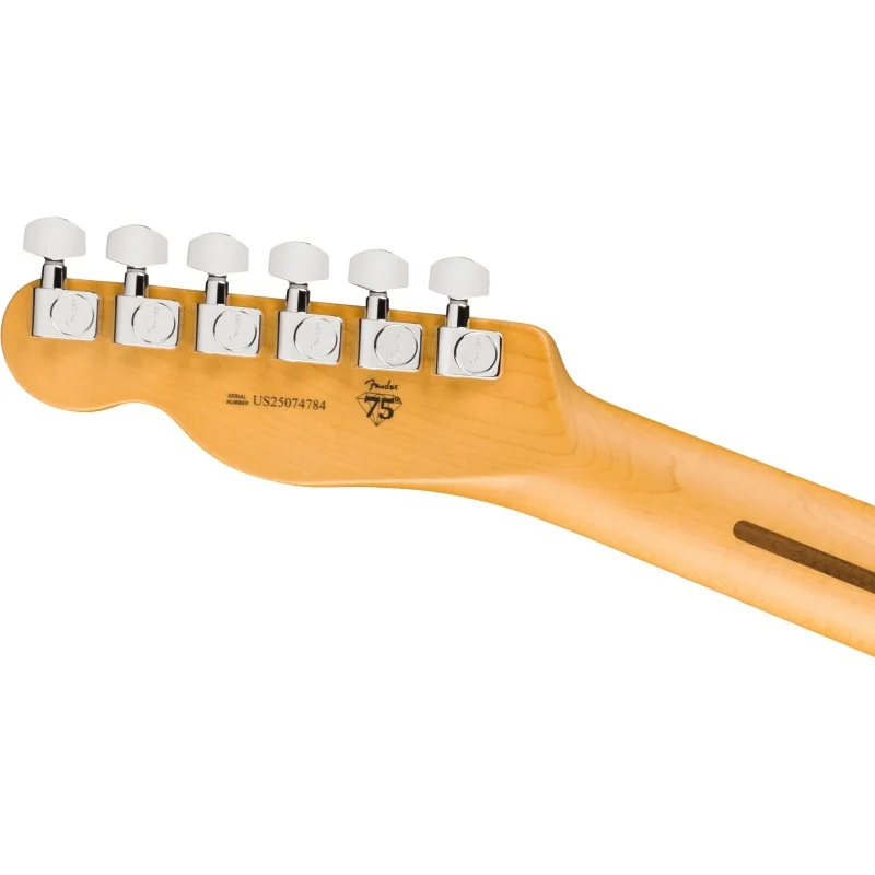 Fender American Professional Telecaster, Maple Fingerboard, Butterscotch Blonde vue du dos de la tête