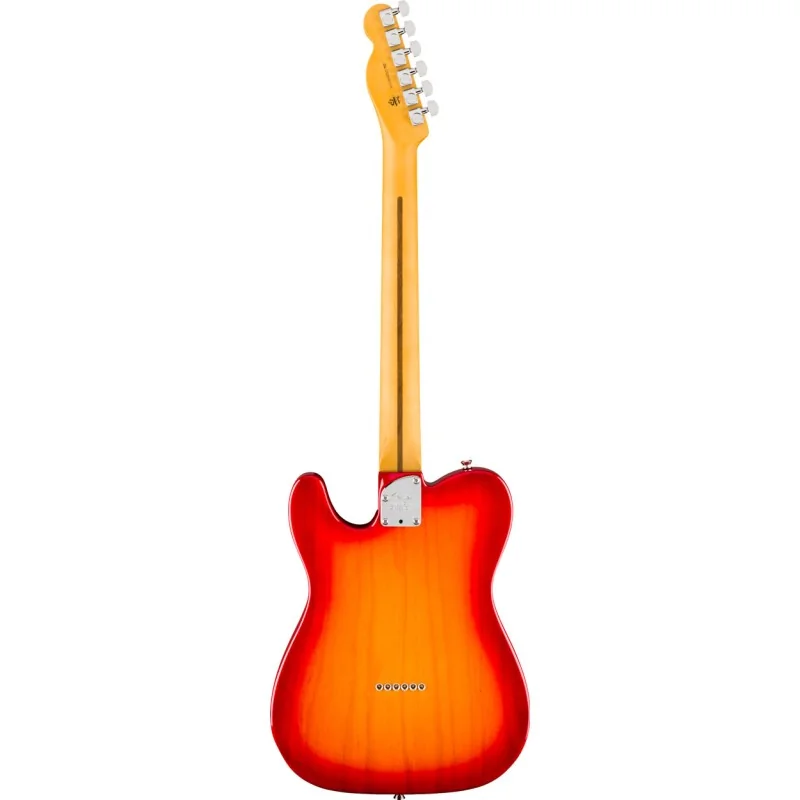 Fender American Professional HotShot Telecaster MN Dark Night vue de dos