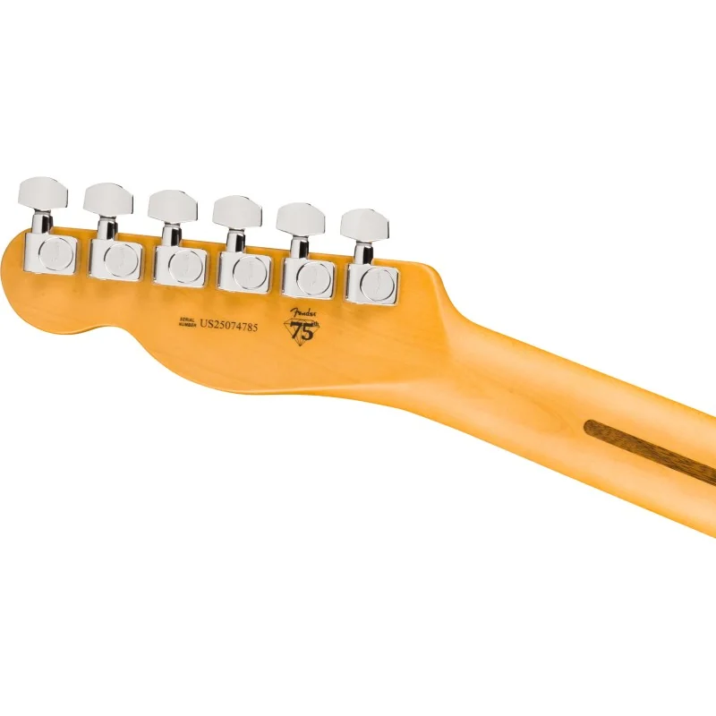 Fender American Professional HotShot Telecaster Butterscotch Blonde vue du dos de la tête