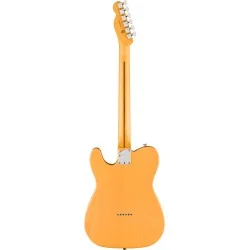 Fender American Professional HotShot Telecaster Butterscotch Blonde vue de dos