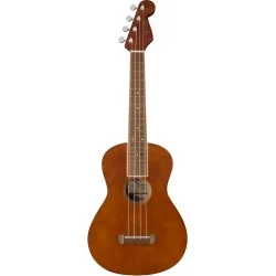 Fender Avalon Tenor Ukulele Natural vue de face Fender Avalon Tenor Ukulele Natural vue de face