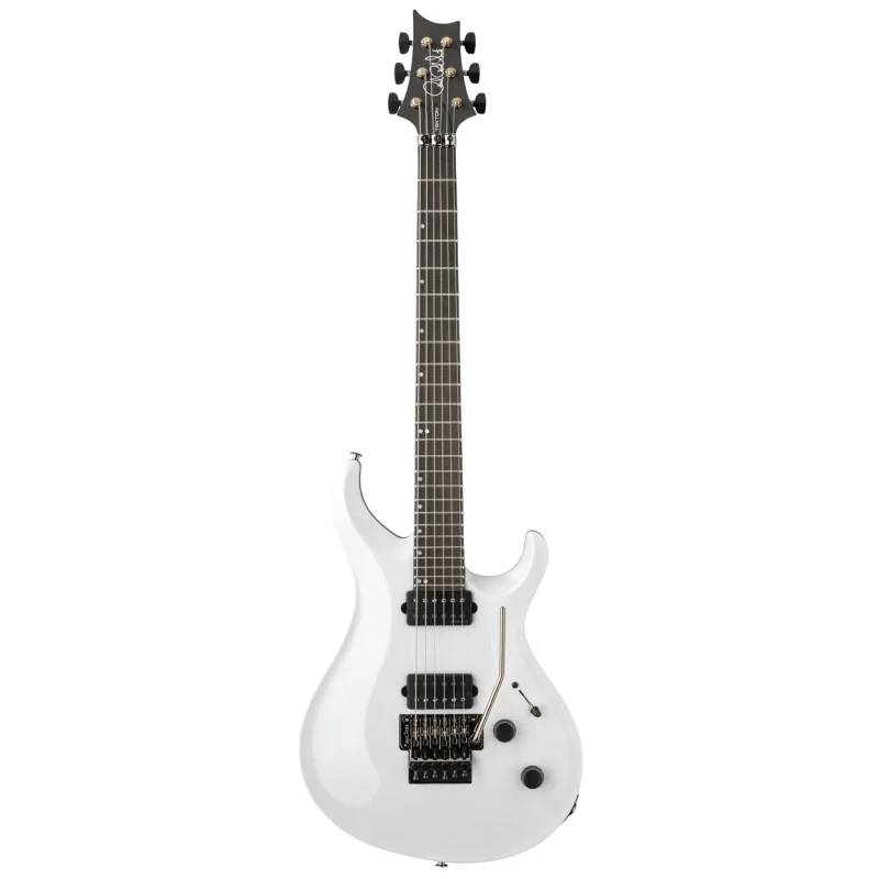 PRS Tekton Floyd White Holoflake vue de face